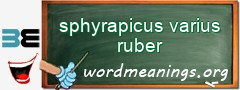 WordMeaning blackboard for sphyrapicus varius ruber